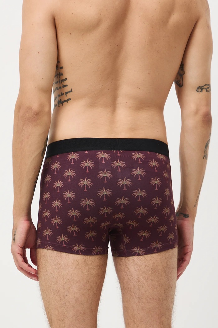Bavlněné boxerky pánské s elastanem a vzorem (2-pack) RW25-BIM105