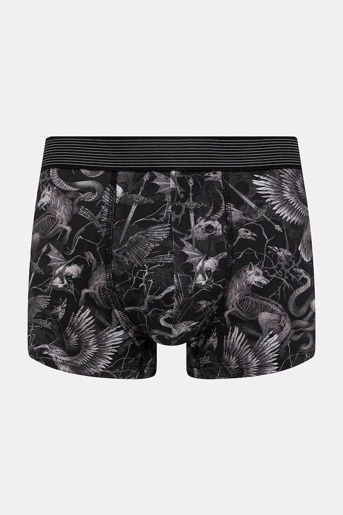 Bokserki bawełniane męskie z elastanem wzorzyste (2-pack) RW25-BIM701 multicolor RW25