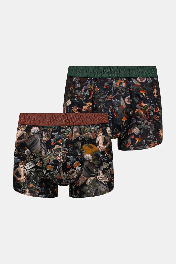 Bokserki bawełniane męskie z elastanem wzorzyste (2-pack) dzianina multicolor RW25-BIMA11