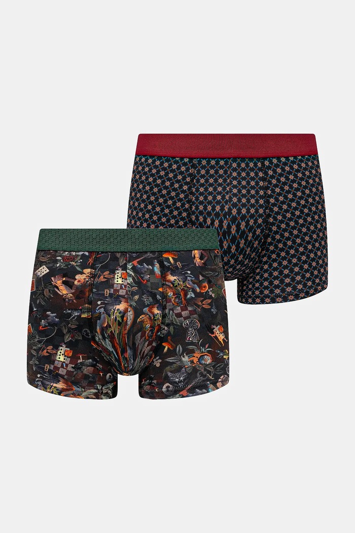 Bokserki bawełniane męskie z elastanem wzorzyste (2-pack) dzianina multicolor RW25-BIMA13