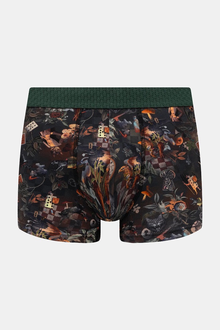 Bokserki bawełniane męskie z elastanem wzorzyste (2-pack) RW25-BIMA13 multicolor RW25