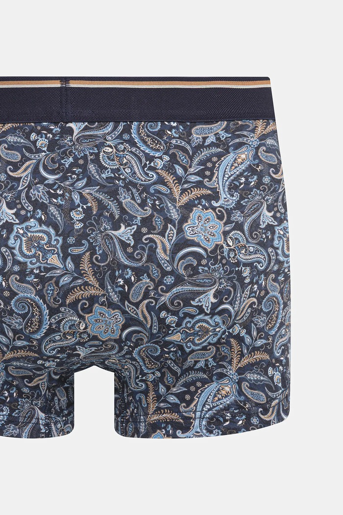 Bavlněné boxerky pánské s elastanem a vzorem (2-pack) vícebarevná RW25-BIMB00