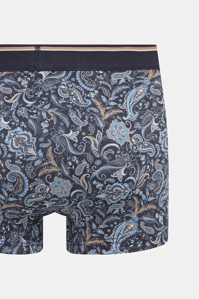 Bavlněné boxerky pánské s elastanem a vzorem (2-pack) vícebarevná RW25-BIMB00