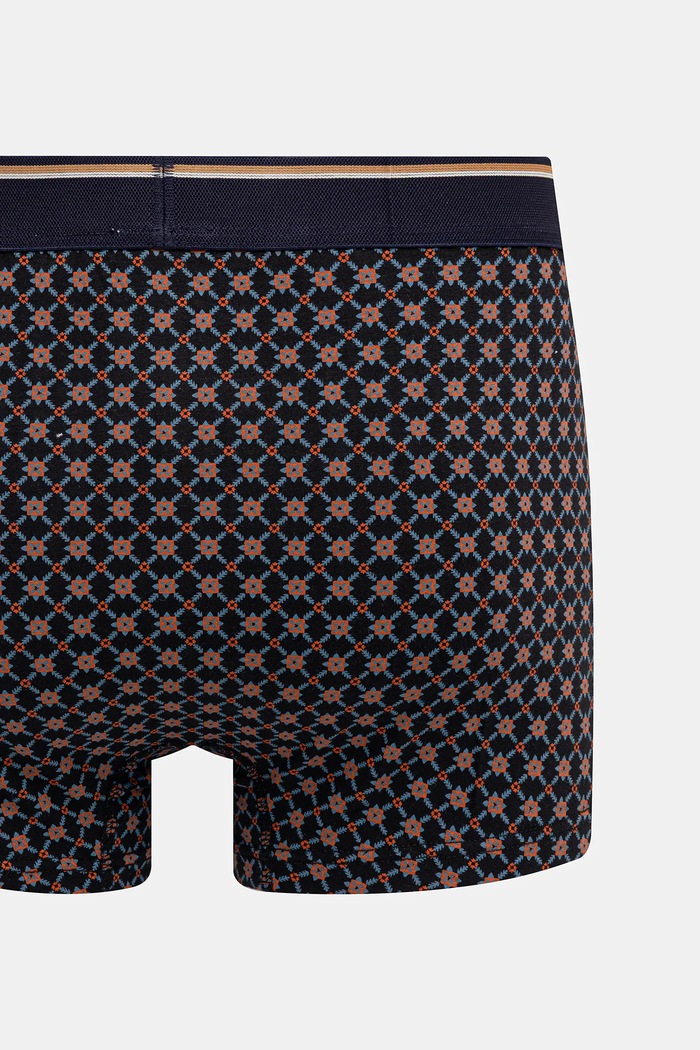 Bavlněné boxerky pánské s elastanem a vzorem (2-pack) RW25-BIMB00 vícebarevná