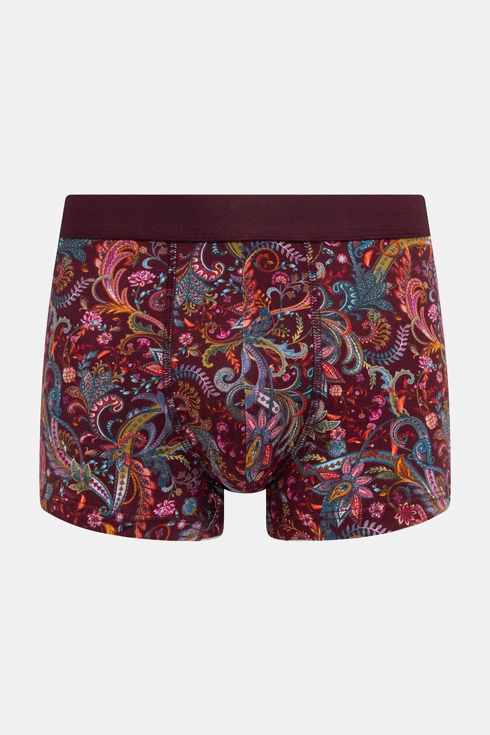 Bavlněné boxerky pánské s elastanem a vzorem (2-pack) RW25-BIMB01 vícebarevná RW25