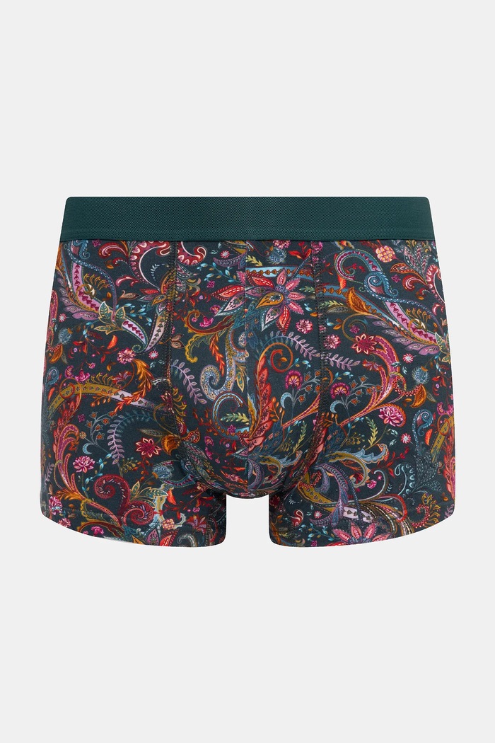 Oblečení Bavlněné boxerky pánské s elastanem a vzorem (2-pack) RW25-BIMB01 vícebarevná
