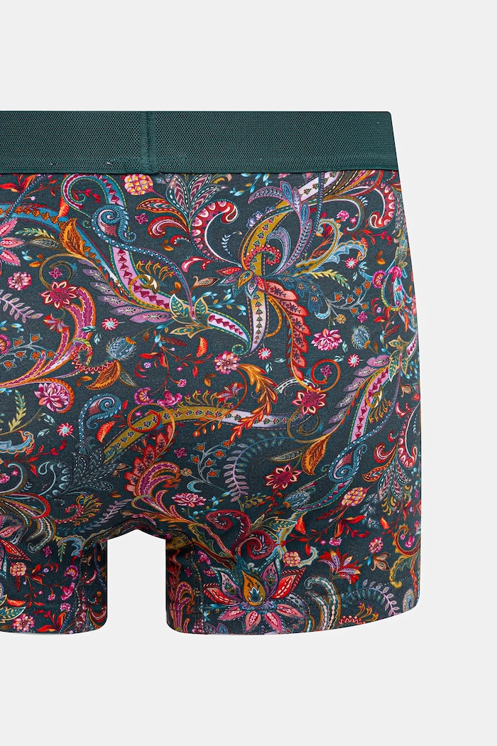 Bavlněné boxerky pánské s elastanem a vzorem (2-pack) RW25-BIMB01 vícebarevná