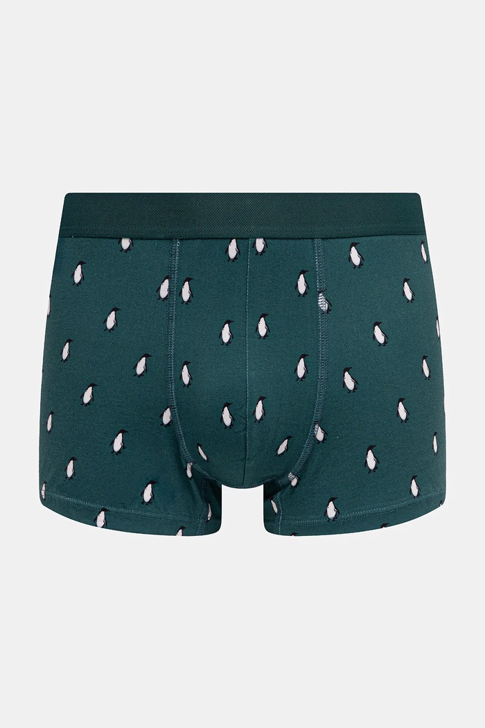 Bavlnené boxerky s elastanom s motívom tučniaka (2-pack) RW25-BIMB02 viacfarebná RW25