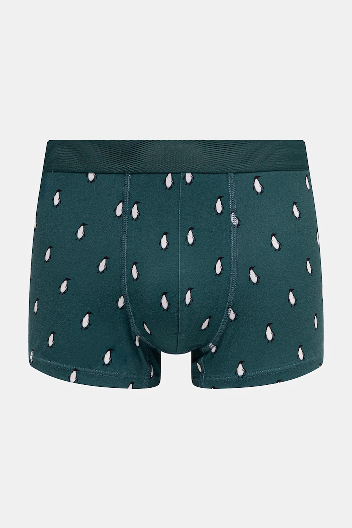 Bavlnené boxerky s elastanom s motívom tučniaka (2-pack) RW25-BIMB02 viacfarebná RW25