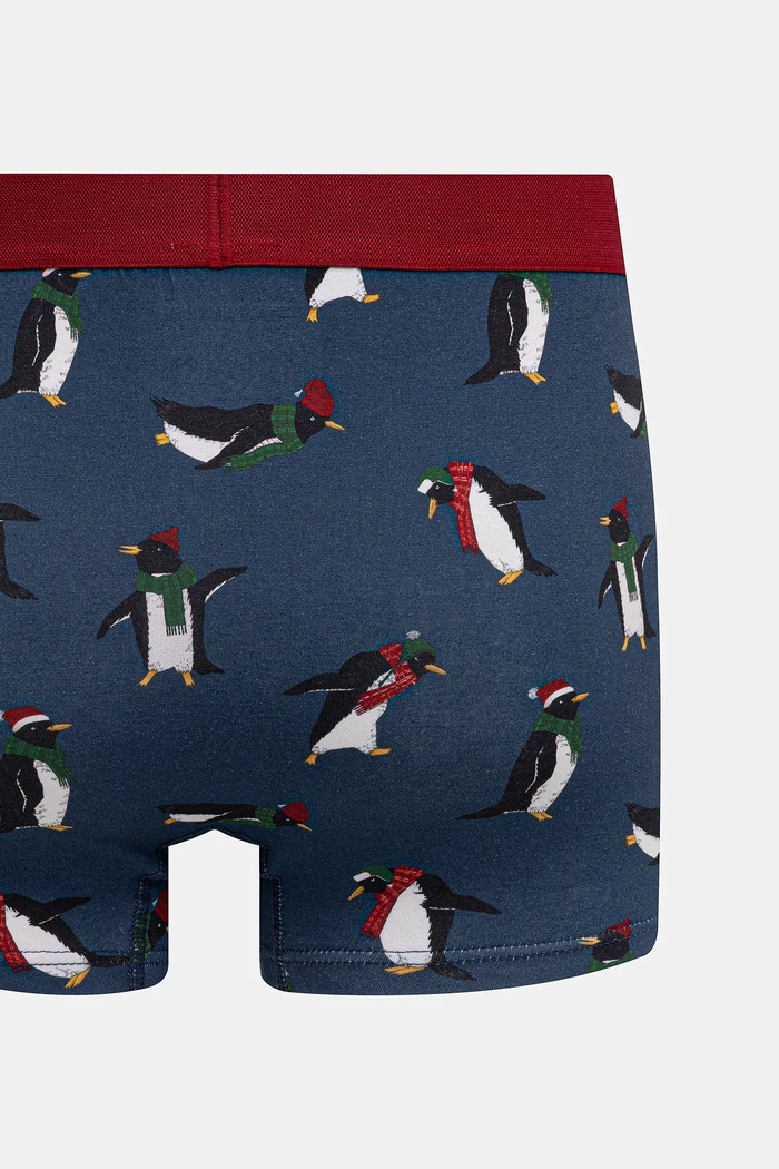 Bavlnené boxerky s elastanom s motívom tučniaka (2-pack) RW25-BIMB02 viacfarebná