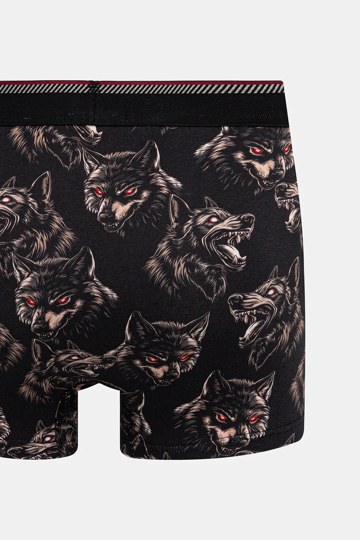 Bavlněné boxerky pánské s elastanem a vzorem (2-pack) vícebarevná RW25-BIMB03