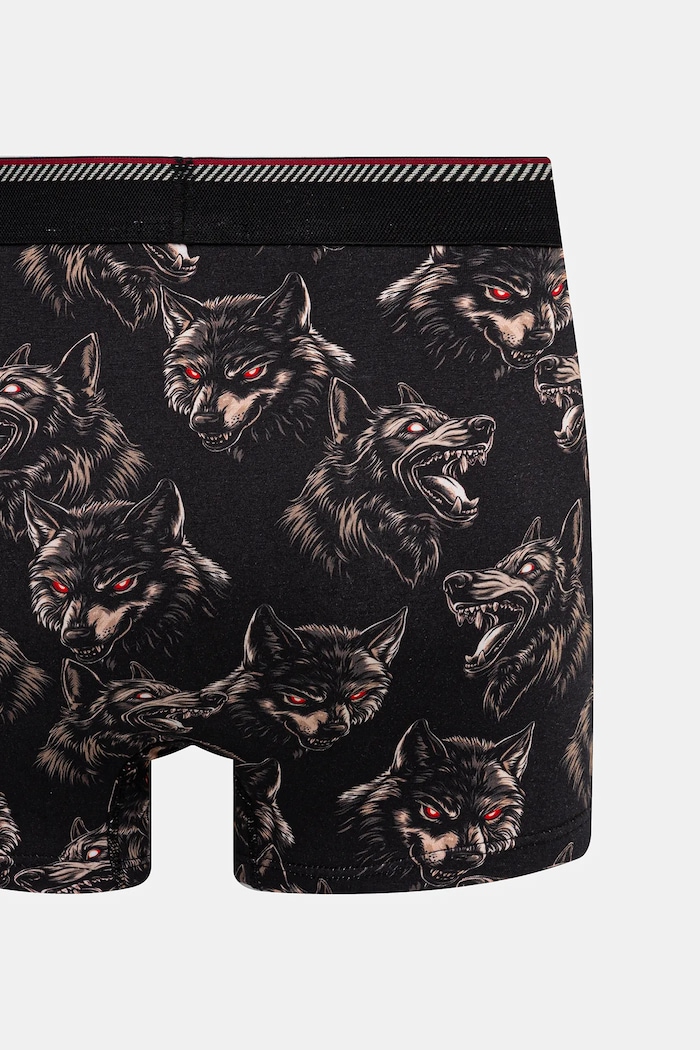 Bavlněné boxerky pánské s elastanem a vzorem (2-pack) vícebarevná RW25-BIMB03