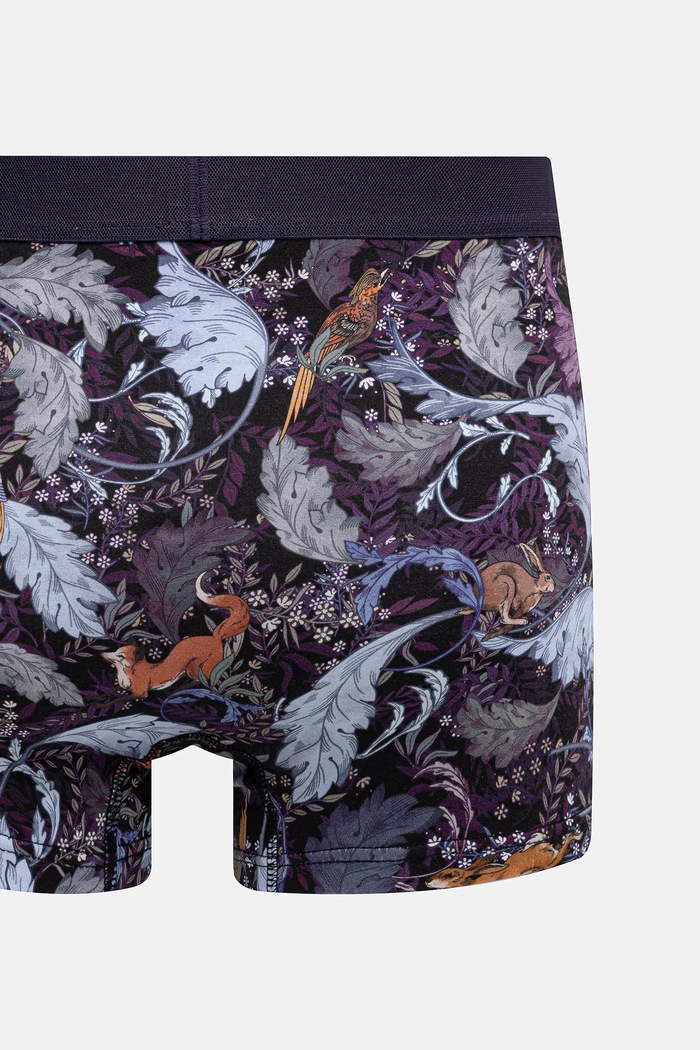 Bavlnené boxerky vzorované s elastanom (2-pack) viacfarebná RW25-BIMB04