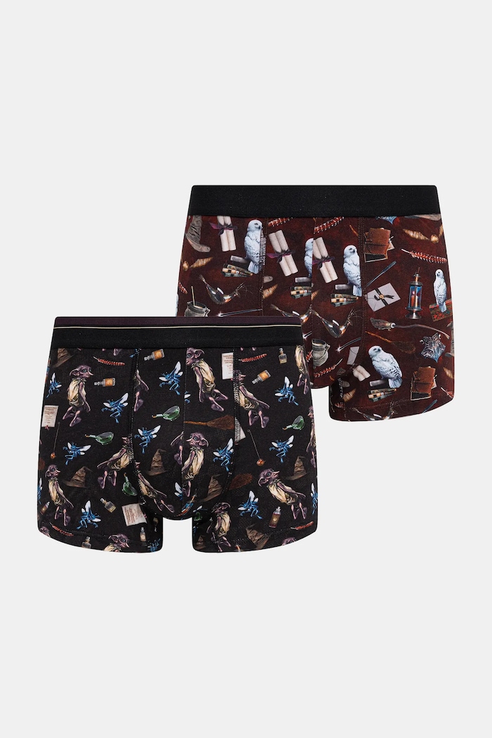 Bokserki męskie z kolekcji Harry Potter (2-pack) dzianina multicolor RW25-BIMB50