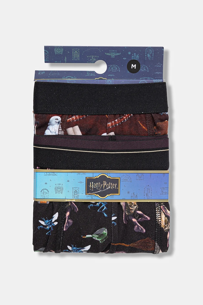 Bokserki męskie z kolekcji Harry Potter (2-pack) RW25-BIMB50