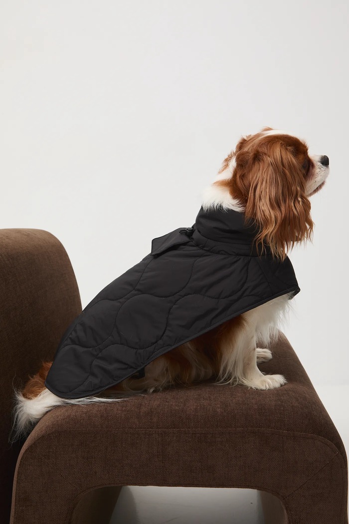 Medicine jachetă pentru un animal de companie negru RW25-KUU801