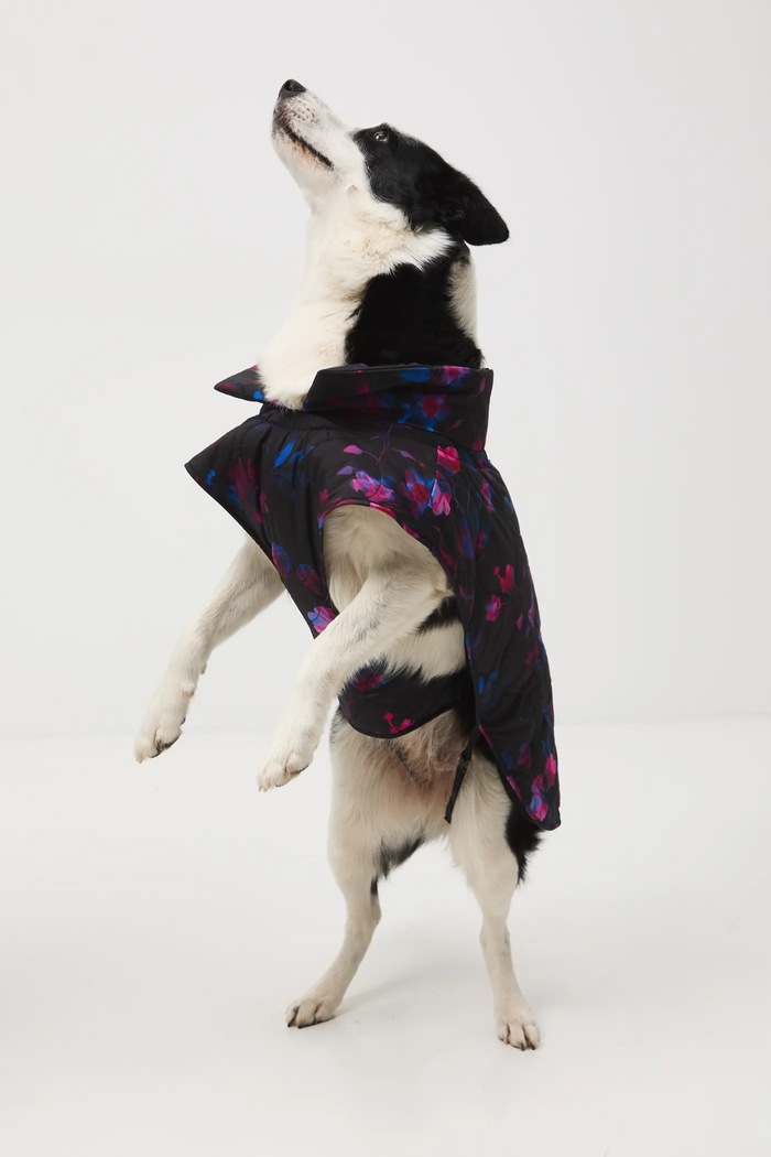 Medicine jachetă pentru un animal de companie multicolor RW25-KUU801