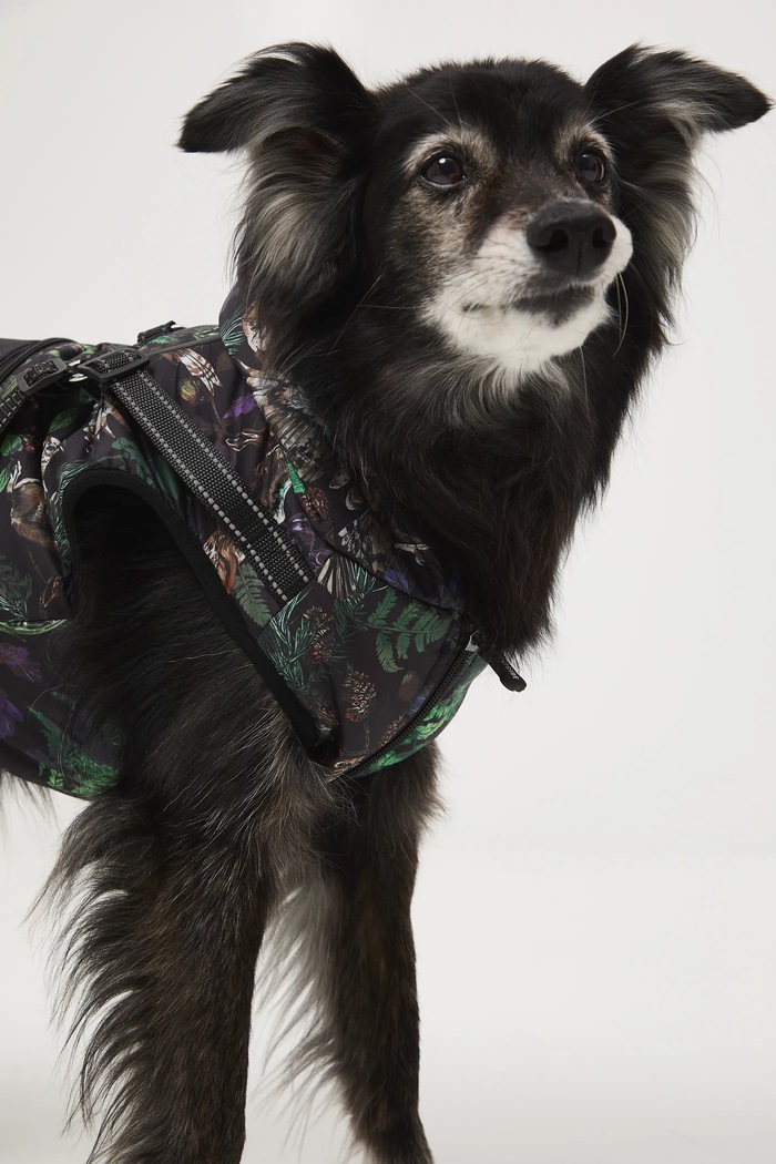 Medicine jachetă pentru un animal de companie multicolor RW25-KUU904