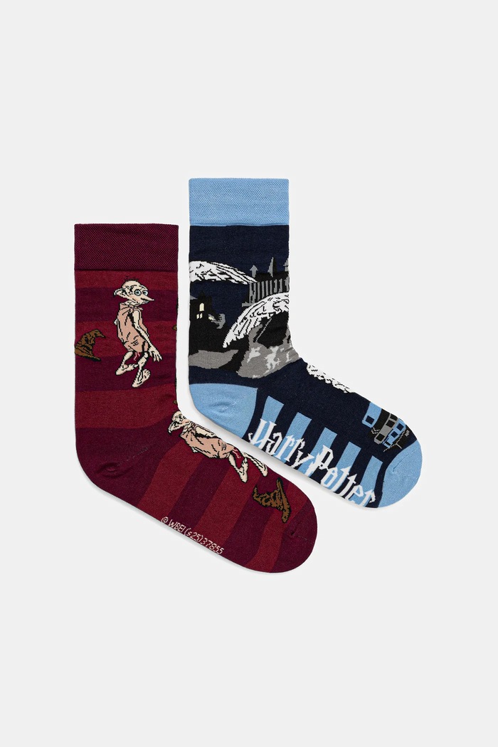 Skarpetki bawełniane damskie z kolekcji Harry Potter (2-pack) skarpetki długie multicolor RW25-LGDB50
