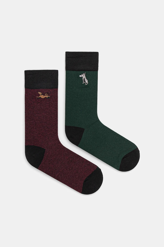 Skarpetki z bawełną męskie z okazji Dnia Psa (2-pack) animal multicolor RW25-LGM408