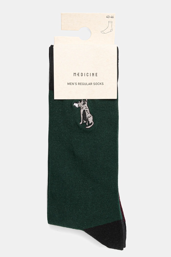 Odzież Skarpetki z bawełną męskie z okazji Dnia Psa (2-pack) RW25-LGM408 multicolor
