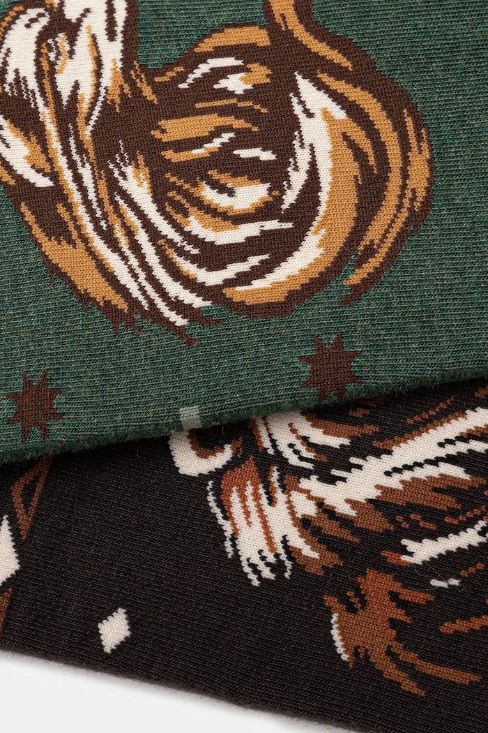 Skarpetki z bawełną męskie wzorzyste (2-pack) RW25-LGM901 multicolor RW25
