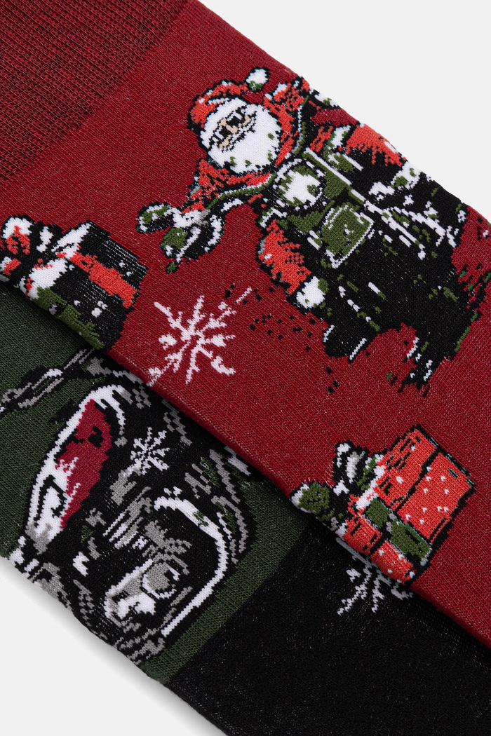 Skarpetki bawełniane męskie świąteczne (2-pack) RW25-LGMA12 multicolor RW25