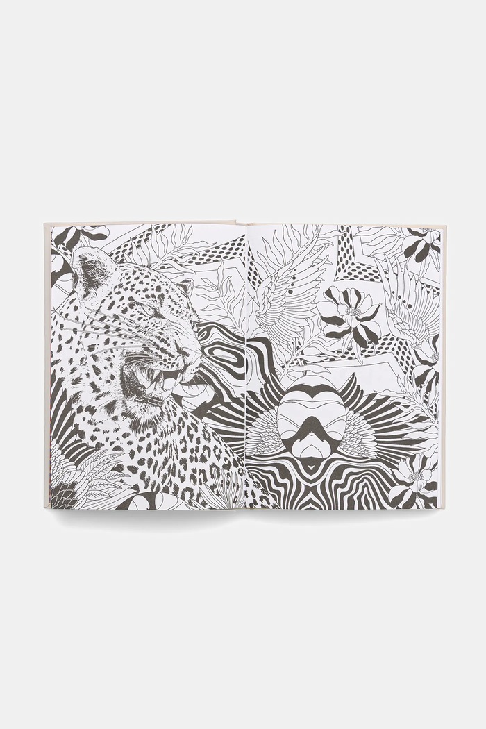 Lifestyle i travel Planer z kocim motywem - Kitty Planner RW25-PAU801 multicolor