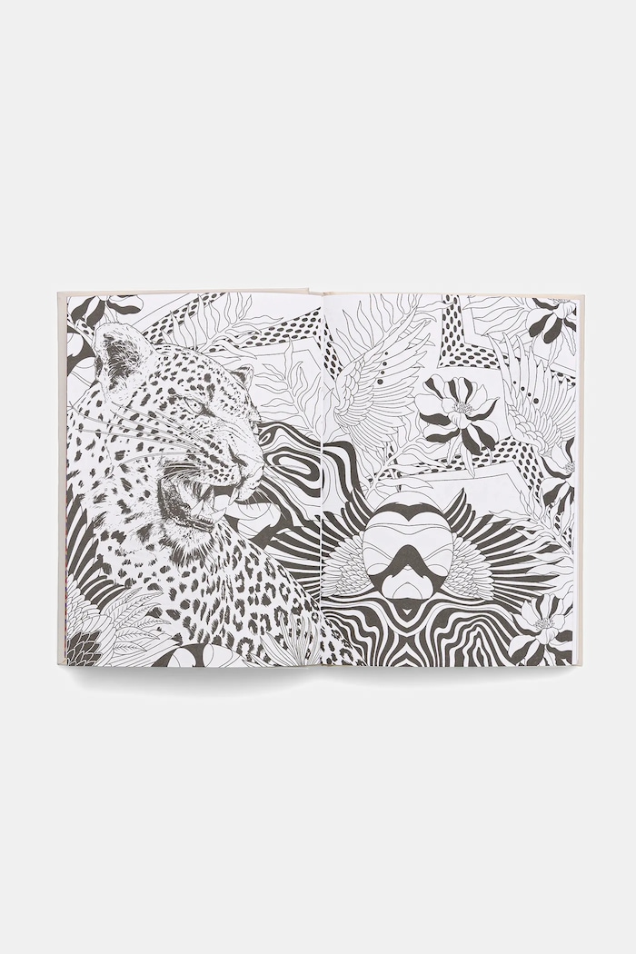 Lifestyle i travel Planer z kocim motywem - Kitty Planner RW25-PAU801 multicolor