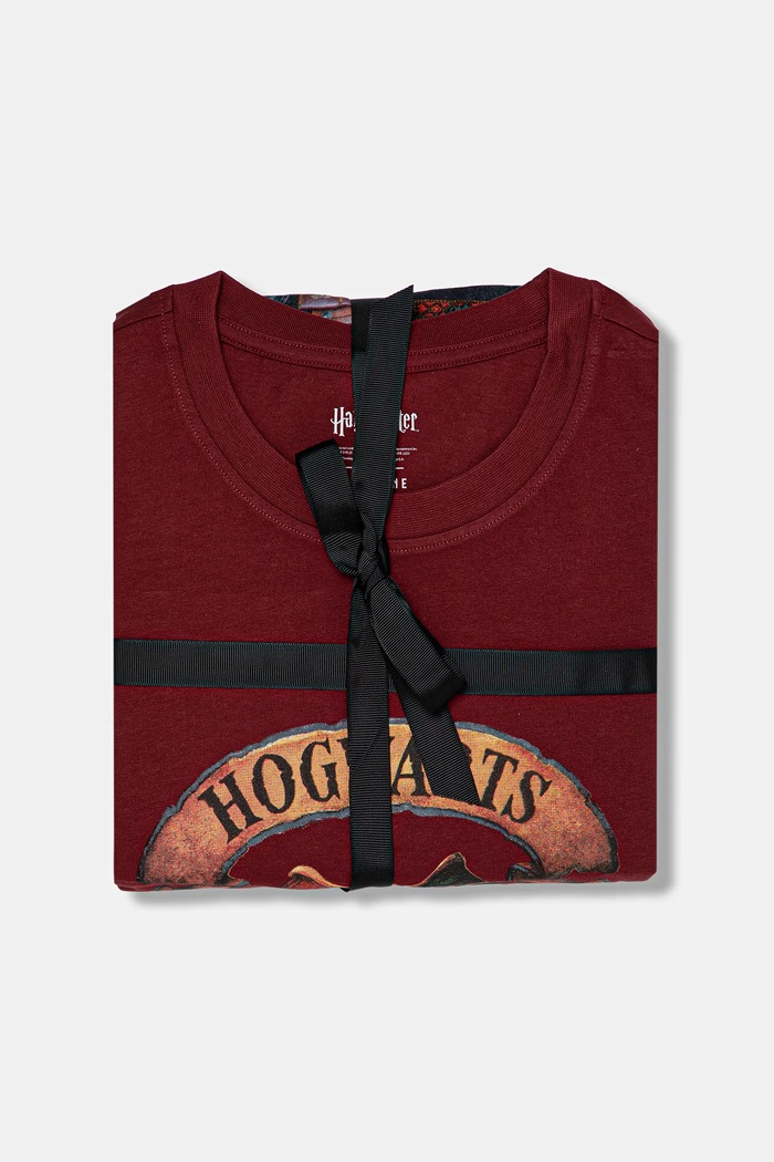 Piżama bawełniana męska z kolekcji Harry Potter RW25-PJMB01