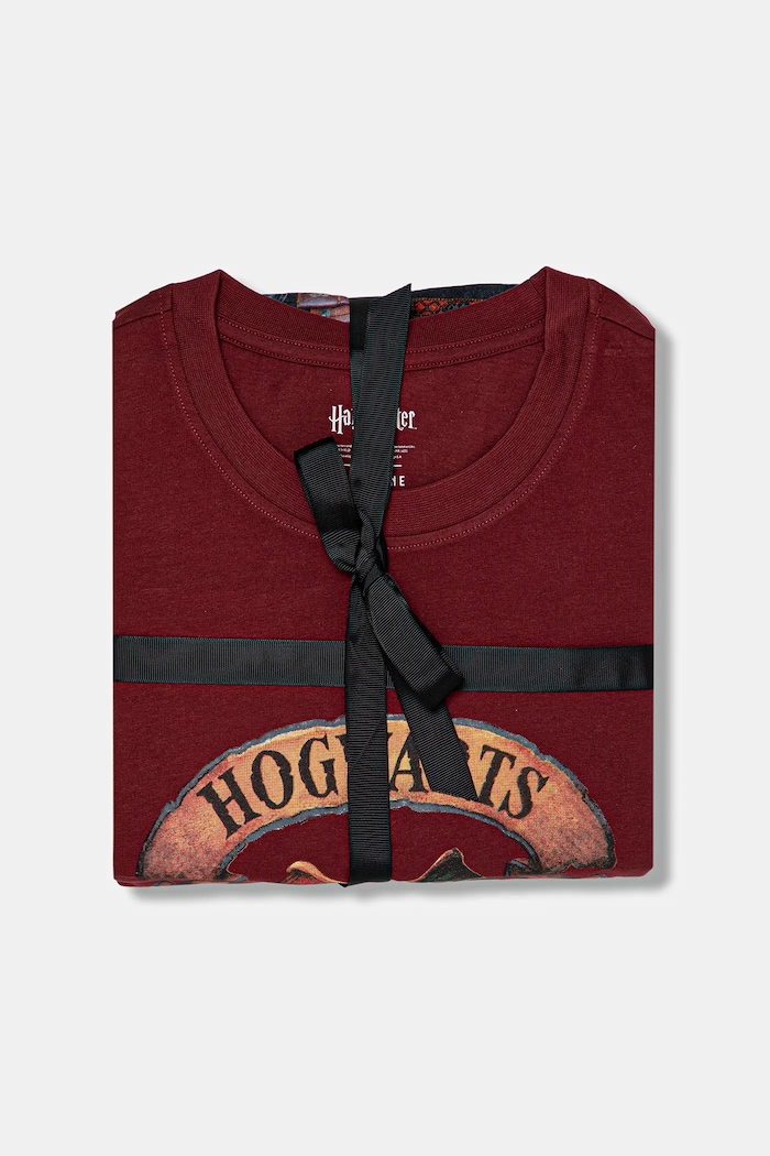 Piżama bawełniana męska z kolekcji Harry Potter RW25-PJMB01