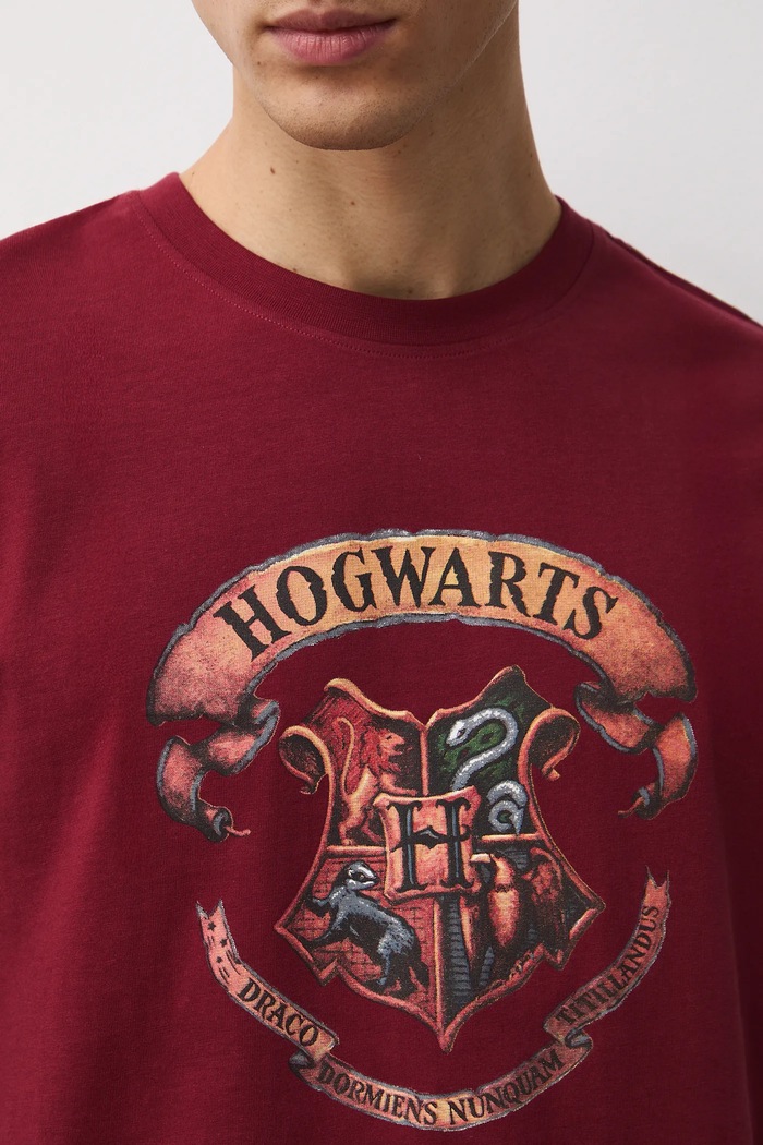 Piżama bawełniana męska z kolekcji Harry Potter RW25-PJMB01