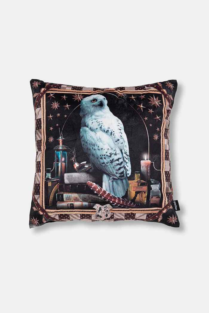 Ložnice Dekorativní povlak na polštář z kolekce Harry Potter (2-pack) RW25-PSUB50 vícebarevná
