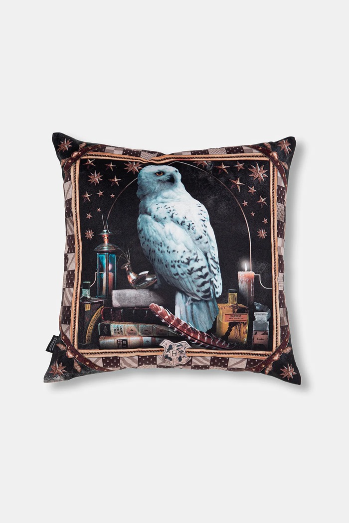 Dekorativní povlak na polštář z kolekce Harry Potter (2-pack) RW25-PSUB50 vícebarevná