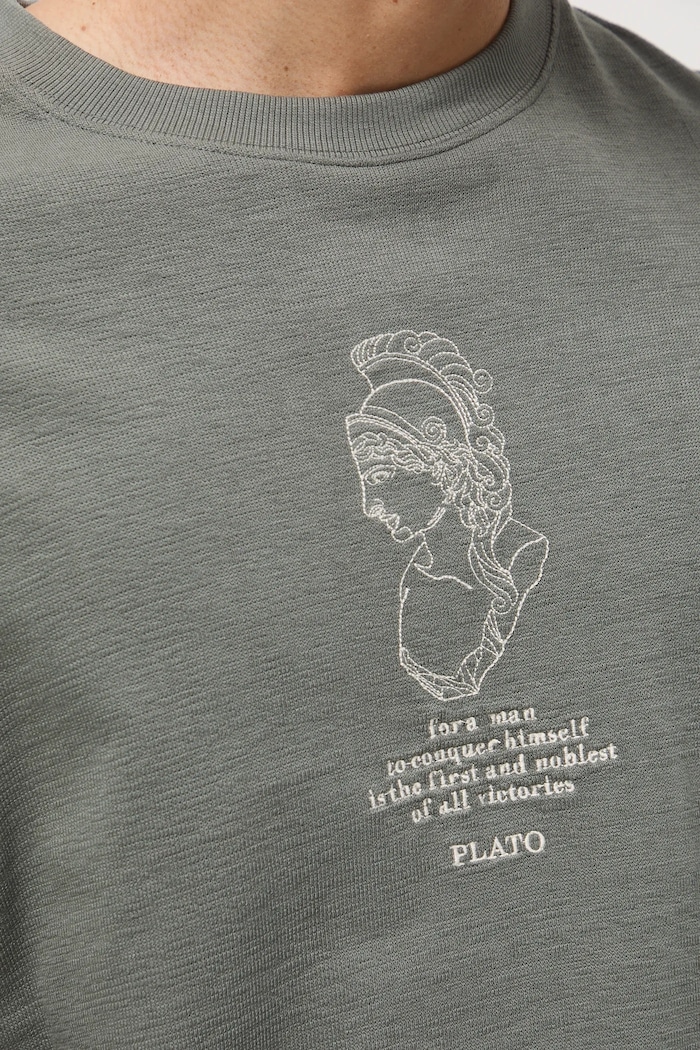 Bavlnené tričko pánske z kolekcie Science – Words of Wisdom RW25-TSM354