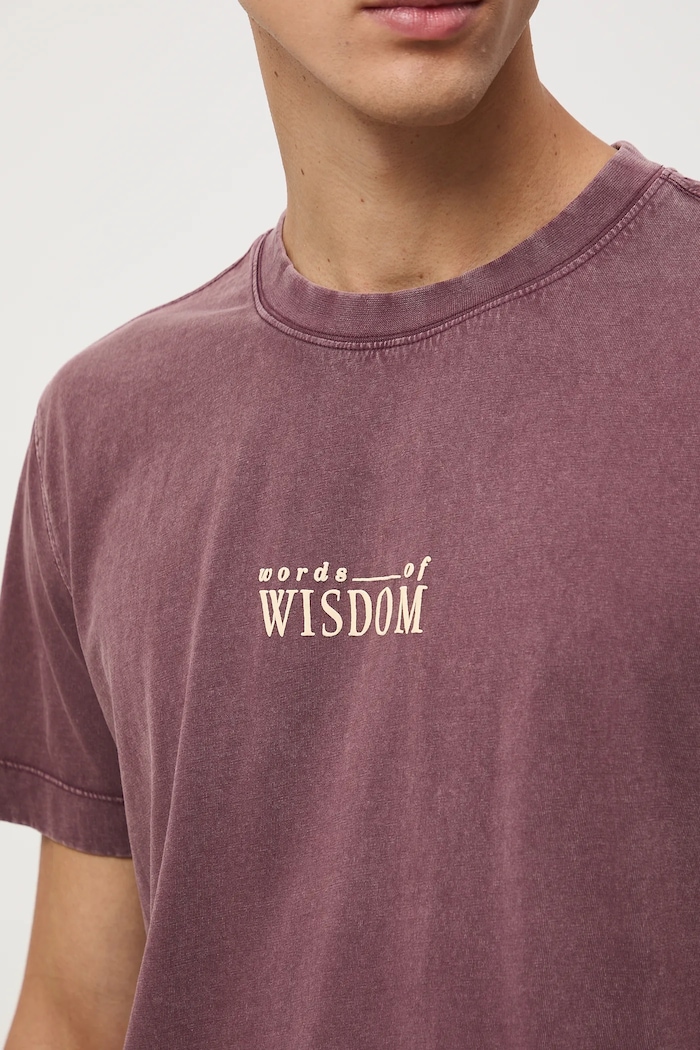 Bavlněné tričko pánské z kolekce Science – Words of Wisdom RW25-TSM355