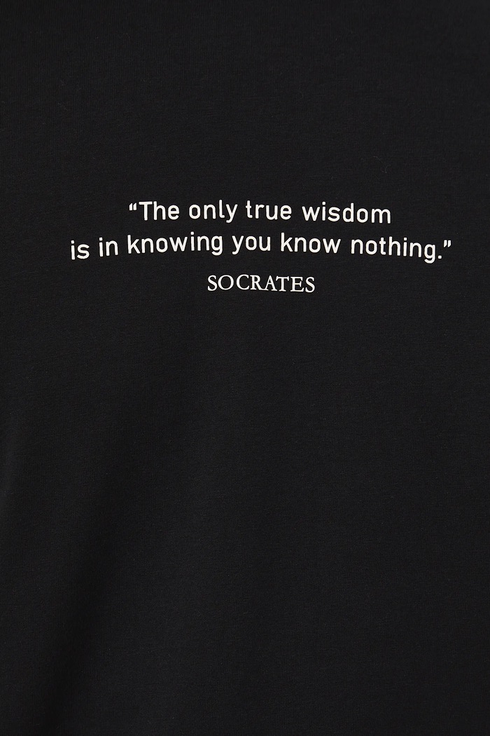 Bavlnené tričko pánske s elastanom z kolekcie Science – Words of Wisdom RW25-TSM357