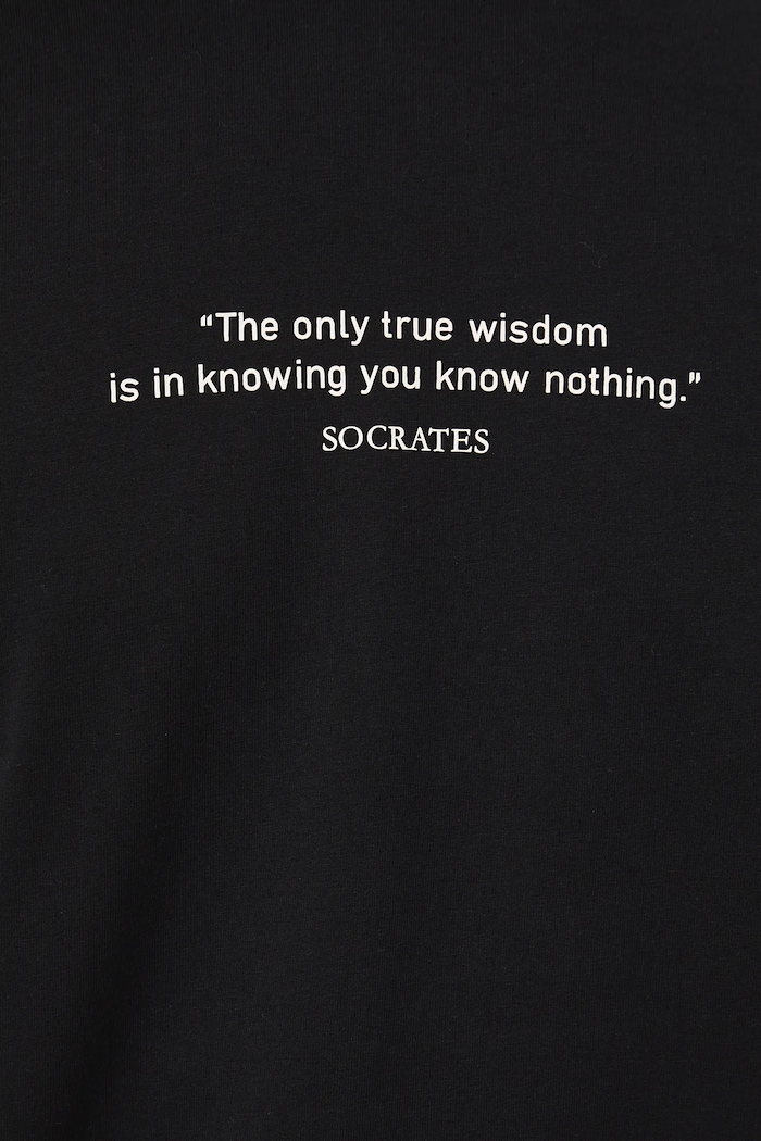 Bavlnené tričko pánske s elastanom z kolekcie Science – Words of Wisdom RW25-TSM357