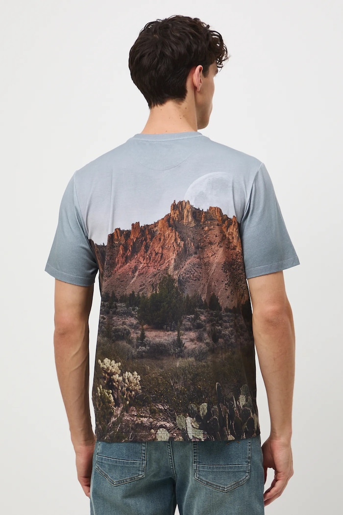 Odzież T-shirt bawełniany męski z elastanem wzorzysty RW25-TSM405 multicolor