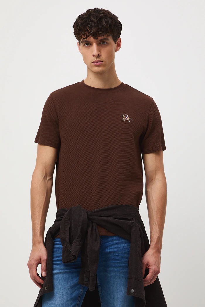 T-shirt bawełniany męski z ozdobnym haftem bawełna brązowy RW25-TSM407