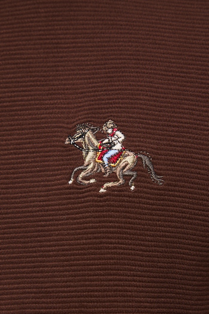 T-shirt bawełniany męski z ozdobnym haftem RW25-TSM407 brązowy