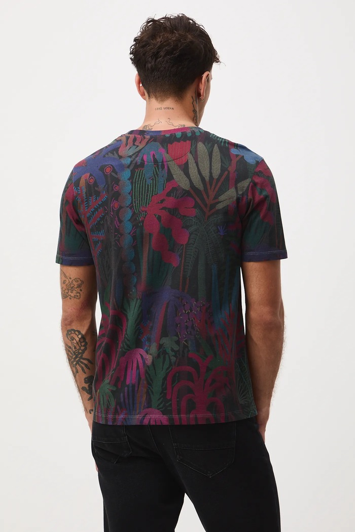 T-shirt bawełniany męski z kolekcji Tajemniczy Świat Medicine multicolor RW25-TSM555