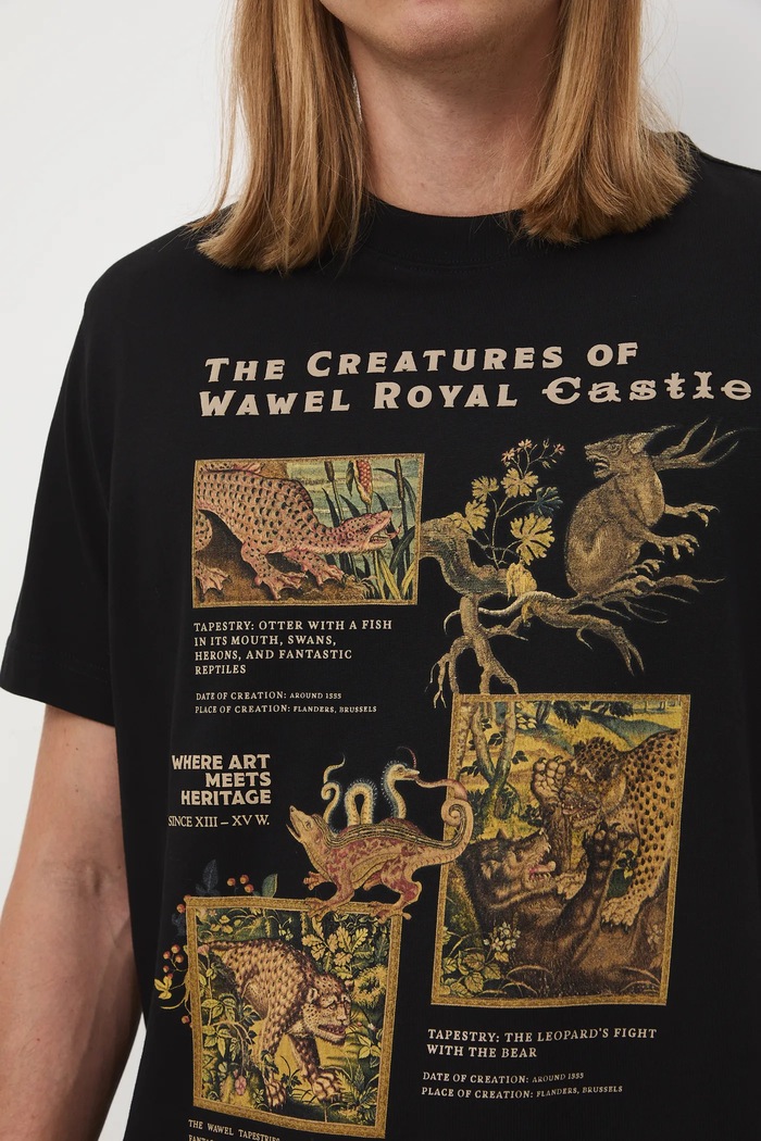 T-shirt bawełniany męski z kolekcji Zamek Królewski na Wawelu x Medicine RW25-TSM857