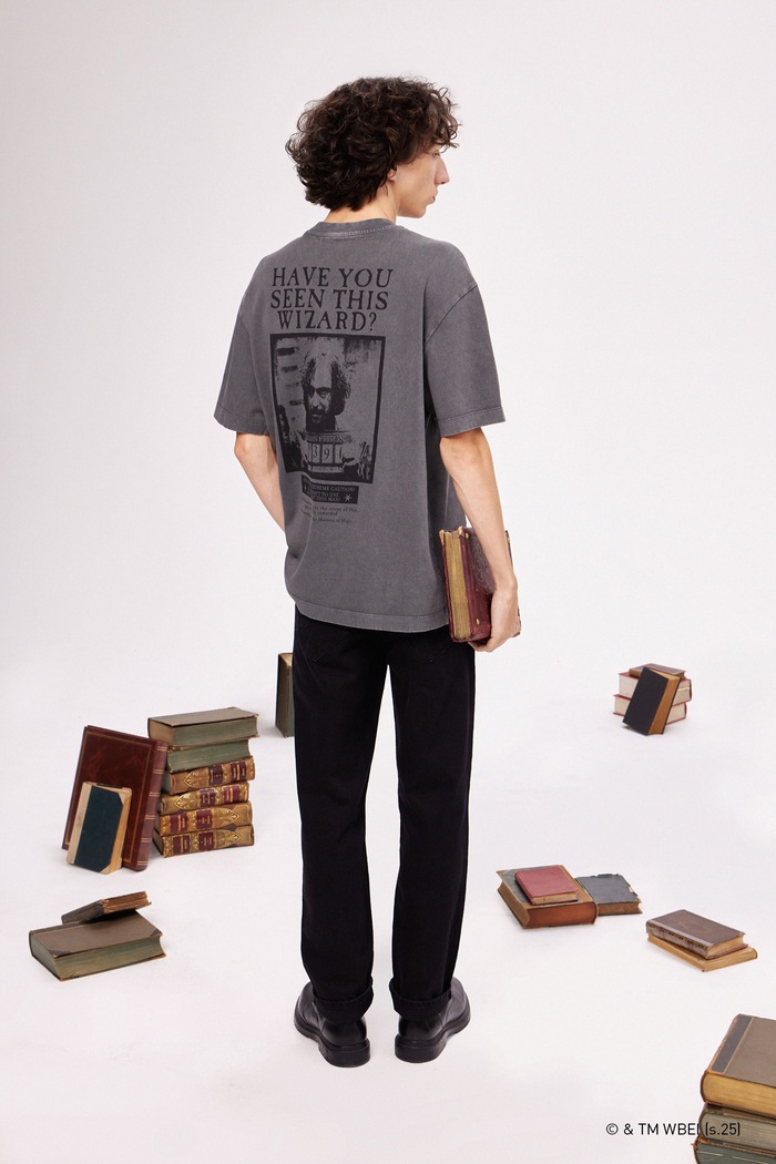 T-shirt bawełniany męski z kolekcji Harry Potter RW25-TSMB52 szary RW25