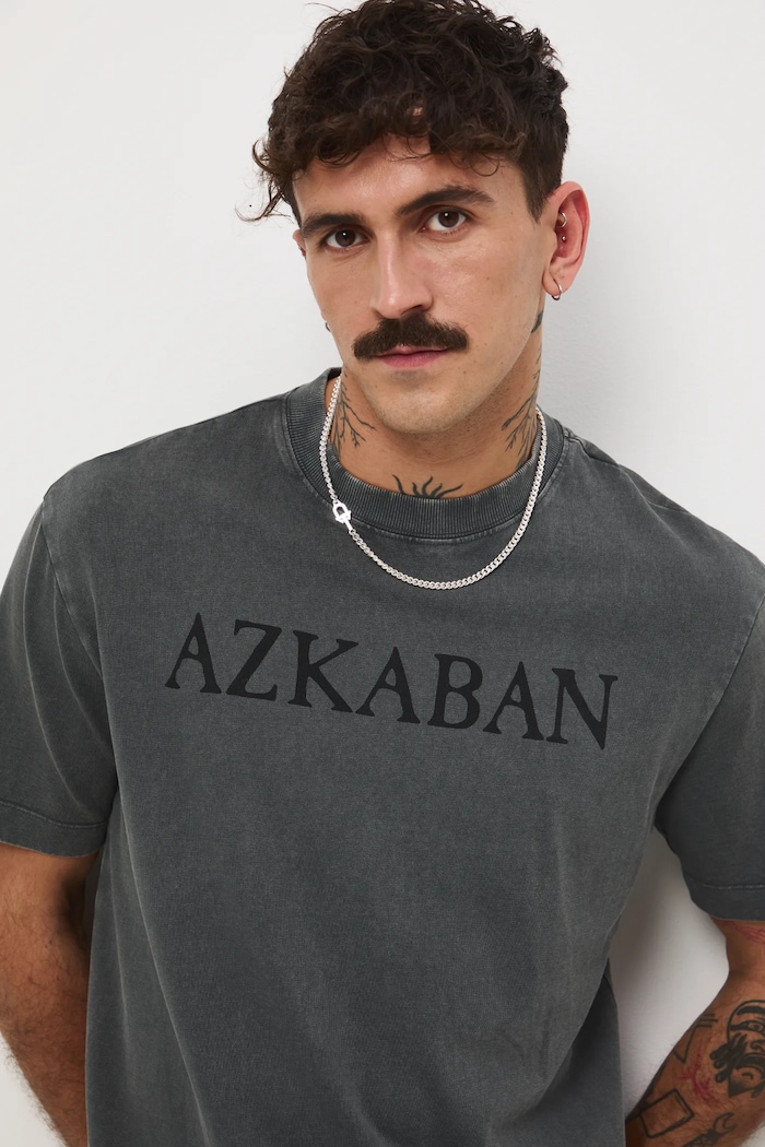 T-shirt bawełniany męski z kolekcji Harry Potter okrągły szary RW25-TSMB52