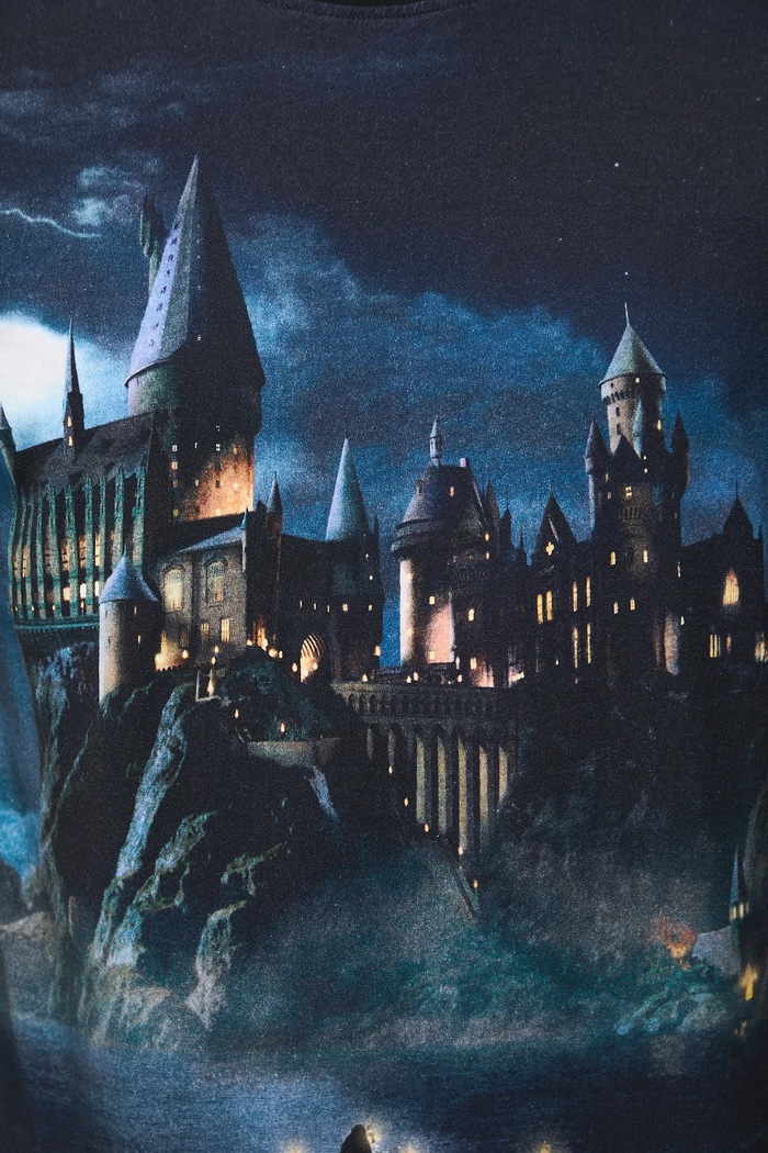 Bavlnené tričko pánske z kolekcie Harry Potter RW25-TSMB53