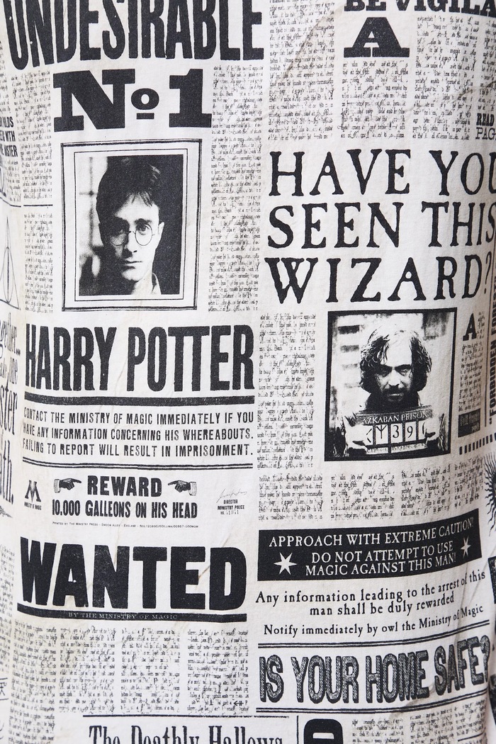 T-shirt bawełniany męski z kolekcji Harry Potter RW25-TSMB59