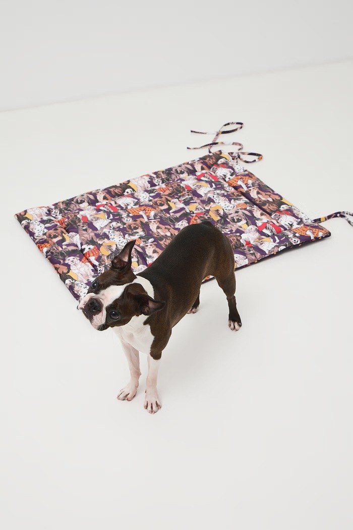 Medicine Legowisko dla pupila RW26-ANU812