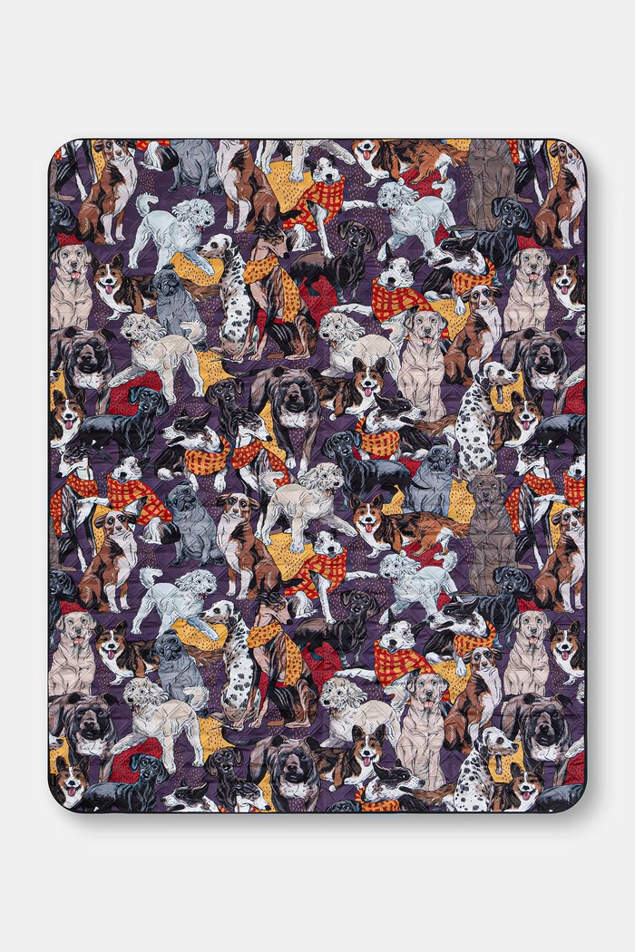 Mata piknikowa składana multicolor RW26-BCU503