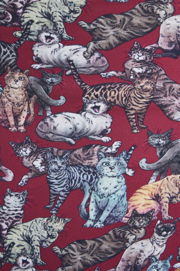 Figi damskie z motywem zwierzęcym 3-pack RW26-BID305